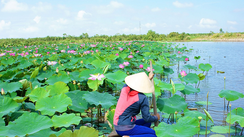 Ảnh thiên nhiên mộc mạc 4